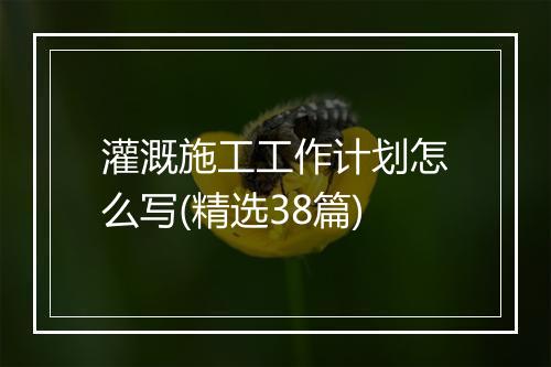 灌溉施工工作计划怎么写(精选38篇)