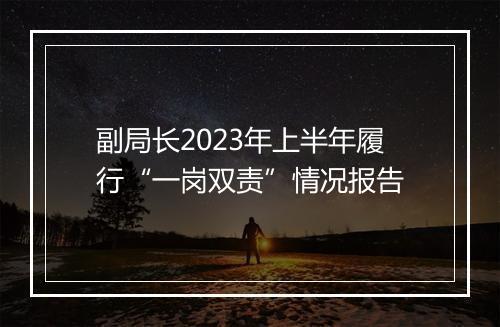 副局长2023年上半年履行“一岗双责”情况报告