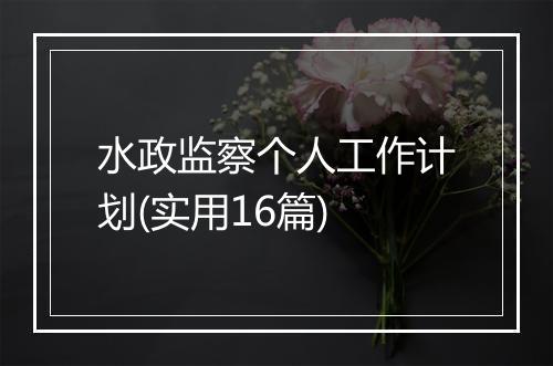 水政监察个人工作计划(实用16篇)