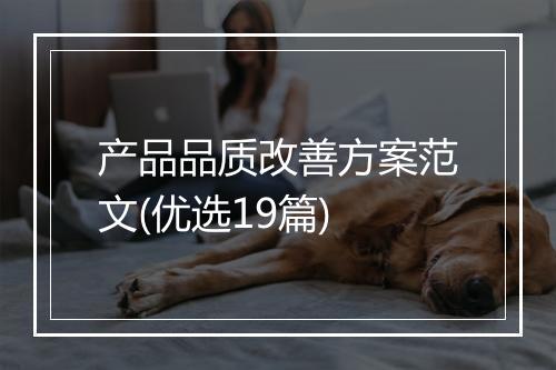 产品品质改善方案范文(优选19篇)
