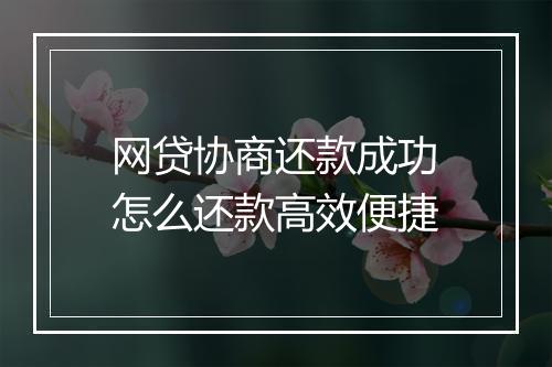 网贷协商还款成功怎么还款高效便捷