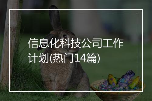 信息化科技公司工作计划(热门14篇)