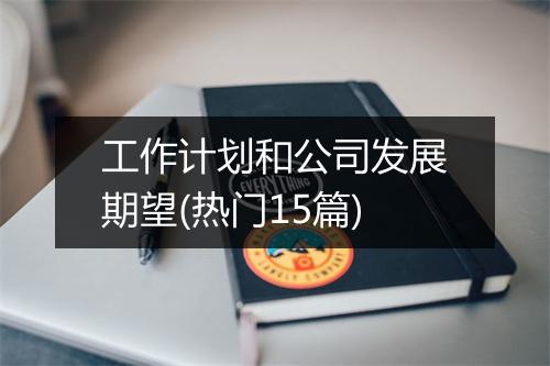 工作计划和公司发展期望(热门15篇)