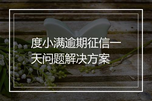 度小满逾期征信一天问题解决方案