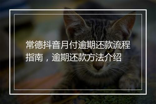 常德抖音月付逾期还款流程指南，逾期还款方法介绍