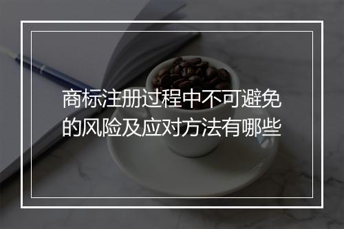 商标注册过程中不可避免的风险及应对方法有哪些