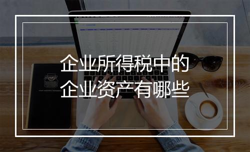 企业所得税中的企业资产有哪些