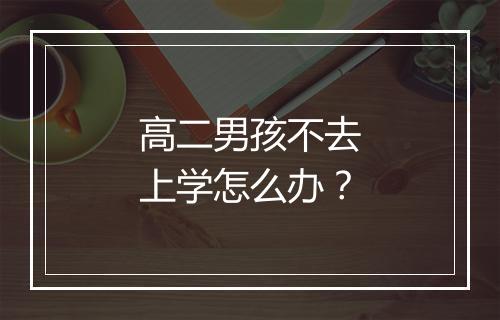 高二男孩不去上学怎么办？