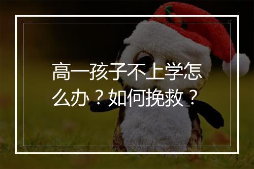 高一孩子不上学怎么办？如何挽救？