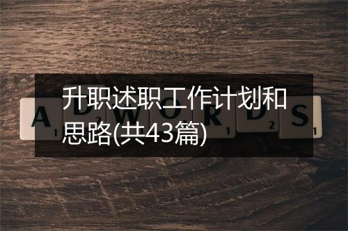 升职述职工作计划和思路(共43篇)