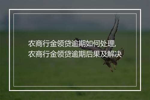 农商行金领贷逾期如何处理,农商行金领贷逾期后果及解决