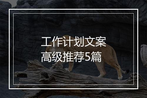 工作计划文案高级推荐5篇