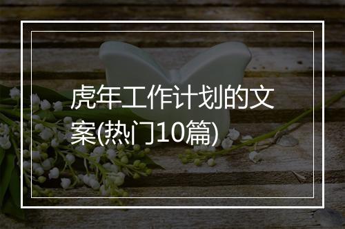 虎年工作计划的文案(热门10篇)