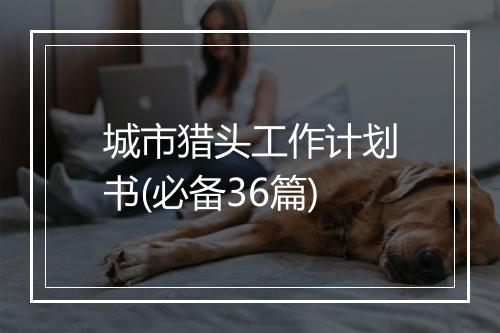 城市猎头工作计划书(必备36篇)