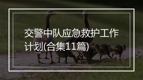 交警中队应急救护工作计划(合集11篇)