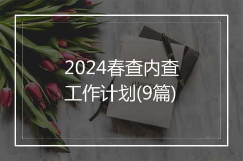 2024春查内查工作计划(9篇)