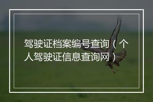 驾驶证档案编号查询（个人驾驶证信息查询网）