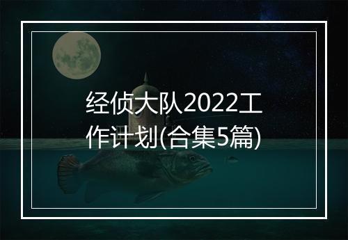 经侦大队2022工作计划(合集5篇)