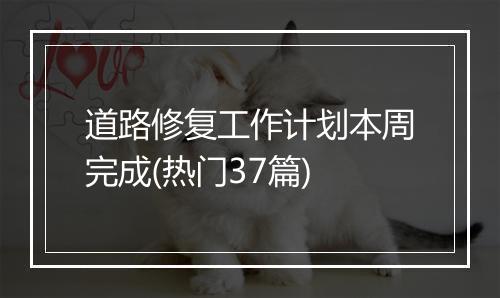 道路修复工作计划本周完成(热门37篇)