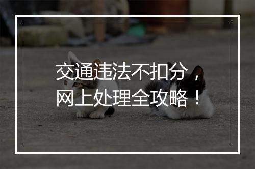 交通违法不扣分，网上处理全攻略！