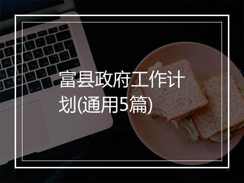 富县政府工作计划(通用5篇)