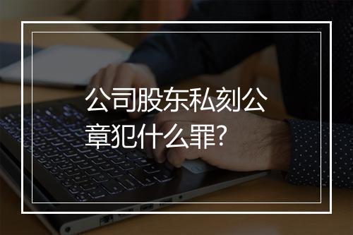 公司股东私刻公章犯什么罪?