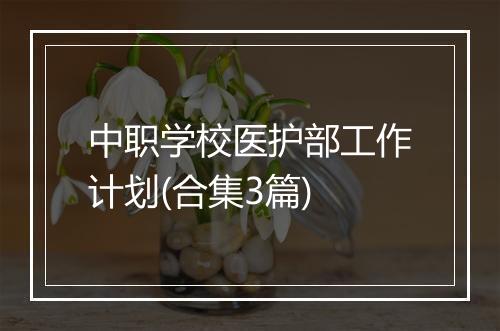 中职学校医护部工作计划(合集3篇)