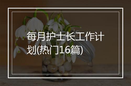 每月护士长工作计划(热门16篇)