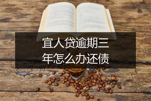 宜人贷逾期三年怎么办还债
