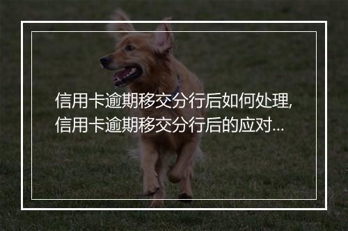 信用卡逾期移交分行后如何处理,信用卡逾期移交分行后的应对措施