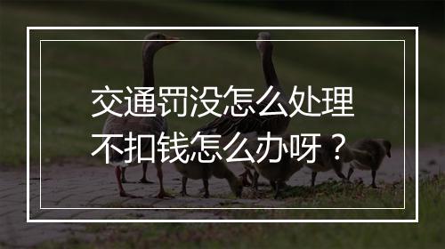 交通罚没怎么处理不扣钱怎么办呀？