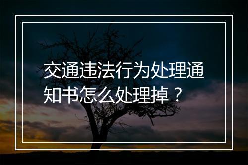 交通违法行为处理通知书怎么处理掉？