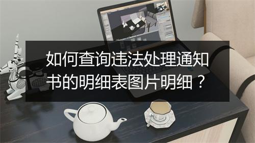 如何查询违法处理通知书的明细表图片明细？