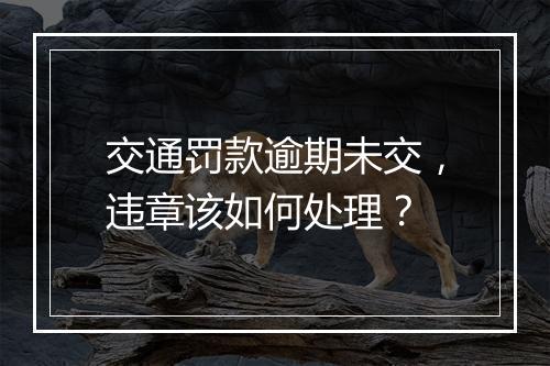 交通罚款逾期未交，违章该如何处理？