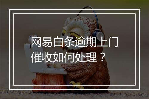 网易白条逾期上门催收如何处理？