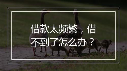 借款太频繁，借不到了怎么办？