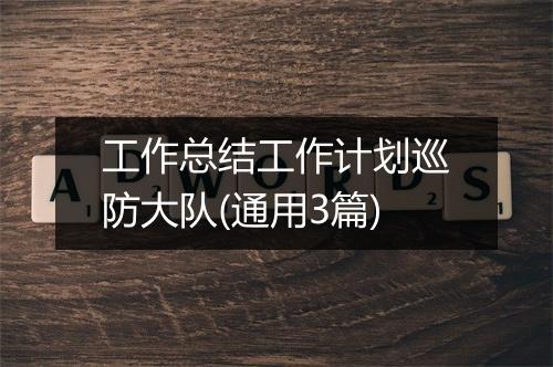 工作总结工作计划巡防大队(通用3篇)