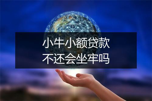 小牛小额贷款不还会坐牢吗
