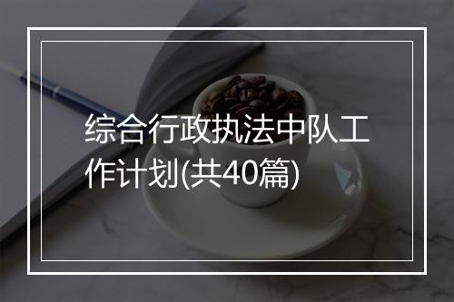 综合行政执法中队工作计划(共40篇)