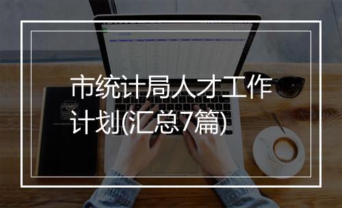 市统计局人才工作计划(汇总7篇)