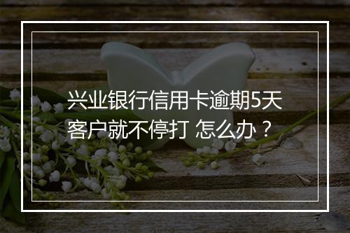 兴业银行信用卡逾期5天客户就不停打 怎么办？