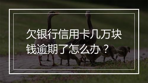 欠银行信用卡几万块钱逾期了怎么办？
