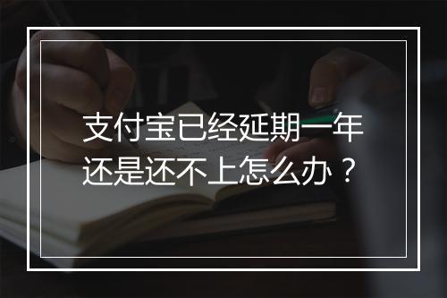 支付宝已经延期一年还是还不上怎么办？