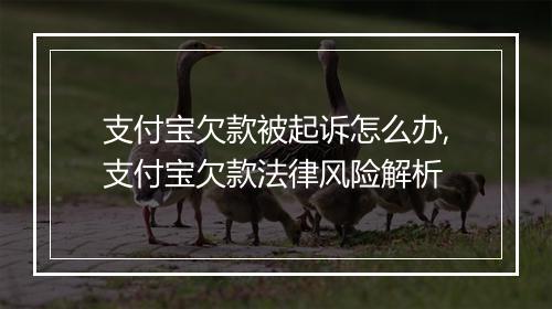 支付宝欠款被起诉怎么办,支付宝欠款法律风险解析