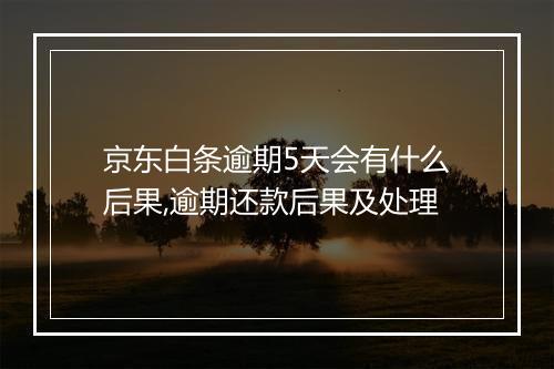 京东白条逾期5天会有什么后果,逾期还款后果及处理