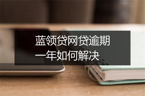 蓝领贷网贷逾期一年如何解决