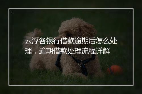 云浮各银行借款逾期后怎么处理，逾期借款处理流程详解