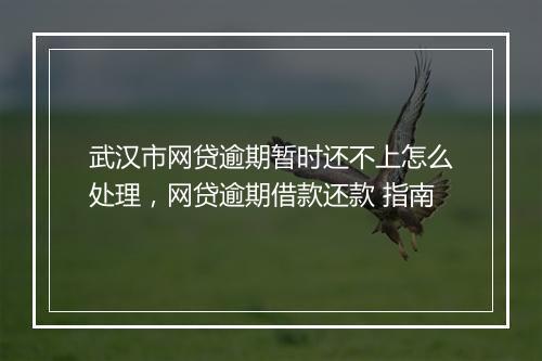 武汉市网贷逾期暂时还不上怎么处理，网贷逾期借款还款 指南