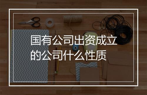 国有公司出资成立的公司什么性质