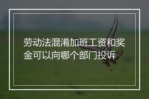 劳动法混淆加班工资和奖金可以向哪个部门投诉